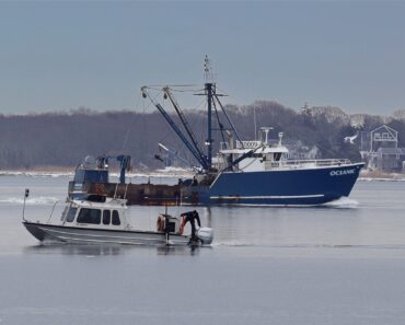 Todd Meadows Cause of Death, How Did the ‘Deadliest Catch’ Crewman Die at 25? Todd Meadows Cause of Death, How Did the ‘Deadliest Catch’ Crewman Die at 25?
