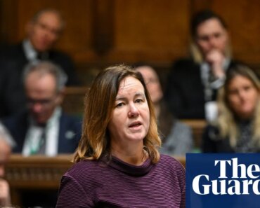 UK parliament to debate whether all domestic abuse-related suicides should be investigated as homicide | Suicide by domestic abuse