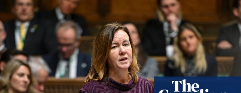 UK parliament to debate whether all domestic abuse-related suicides should be investigated as homicide | Suicide by domestic abuse