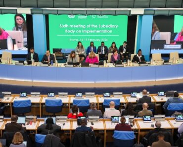 UN biodiversity meeting begins first global review of action on nature