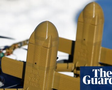 Ukraine sent drone experts to protect US bases in Jordan, says Zelenskyy | Ukraine