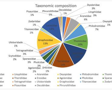 Understanding the impact of urbanization on spider (Arachnida, Araneae) diversity in Armenia