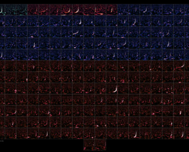 Universe hums with ripples in spacetime: Scientists just doubled our catalog of collisions with black holes and neutron stars