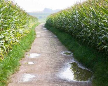 User posts first month losses on Monday