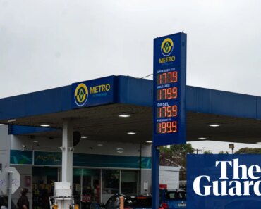 ‘Vicious circle’: Panic buying biggest risk to Australia’s oil supply as demand surges, experts say | australian economy