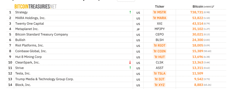 Vivek Ramaswamy’s efforts drive Tesla ahead of Bitcoin after new acquisition