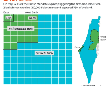 Walid Khalidi, Historian of the Palestinian Cause, Dies at 100 | Israel-Palestine conflict news