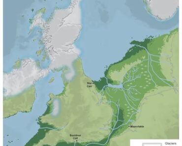 ‘We have evidence of wild boar, deer, bear, aurochs’: Ancient DNA reveals sunken kingdom of Doggerland had habitable forests during last Ice Age