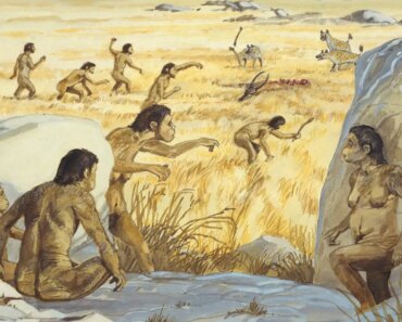 We have just confirmed that Homo habilis really existed