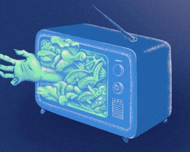 Weird and wonderful mushrooms should be so much more than sci-fi villains Weird and wonderful mushrooms should be so much more than sci-fi villains