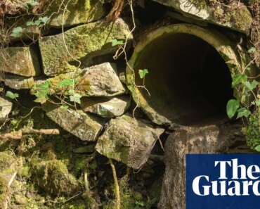 Welsh Water apologizes as Ofwat sets out £44.7m enforcement plan | water industry