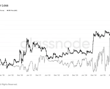 What the XRP sharks do as its holders is $50 billion in losses What the XRP sharks do as its holders is $50 billion in losses