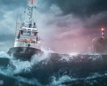 When the panic hits, these 5 quiet, understated stocks continue to deliver When the panic hits, these 5 quiet, understated stocks continue to deliver