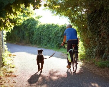 Why adding cross training to your fitness routine is the way to go Why adding cross training to your fitness routine is the way to go