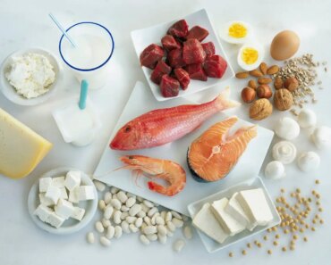 Why are we so obsessed with protein? A new book is looking for answers
