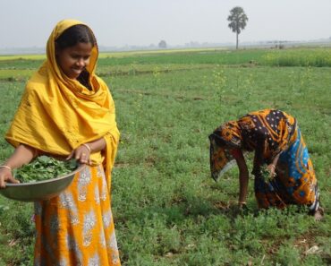 Why tenure reform is key to curbing land degradation