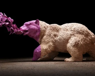 Willy Verginer: Integrating color into nature