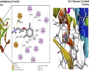 lung, colon and breast cancer